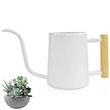 LPAMABA 1L Gießkanne Indoor Giesskanne Metall Edelstahl Gießkanne Klein...