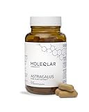 MoleQlar Astragalus Kapseln 60 Stück - 50 mg Astragalosid pro Kapsel -...
