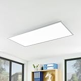 Prios LED Panel Deckenleuchte ultra flach 120 x 60 x 5,2 cm, mit...