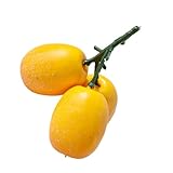 Künstliche Mispel Simulierte Mispel Obstmodell Geeignet für...
