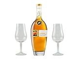 Scheibel PREMIUMplus Feine Marille | 700 ml | 40% Vol. | Mit 2...