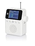 NEWTRO DAB STECKDOSENRADIO Color MIT BEWEGUNGSMELDER INKL. AKKU, portables...