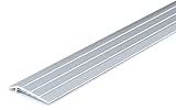 DQ-PP Ausgleichsprofil | 100cm Bodenschiene 5mm Selbstklebend | Silber | 1m...