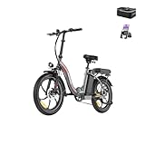 Fafrees F20+ 2025 Elektro-Faltrad 20 Zoll Fatbike, 36V/20AH Akku, 250W...