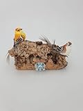 Vogelsitzbrett Natur Kork 10x 10 cm für Wellensittiche Kanarienvögel...