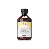 Davines Naturaltech Purifying Shampoo 1000ml (Salon Size)