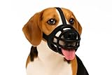 maulkorb Hund - maulkorb mittlere Hunde - Silikon Maulkorb verstellbar...