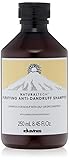 DAVINES - Natural Tech Purifying Shampoo - 250ml