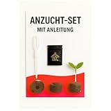 HOMEKING Anzuchtset für Einsteiger & Profis – Komplettset mit Jiffy,...