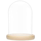 BELLE VOUS Glasglocke mit Holzboden - 20cm hohe Glaskuppel mit Holzboden -...