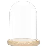 BELLE VOUS Glas Glocke Glaskuppel Groß mit Holzboden – 20cm Dekorative...