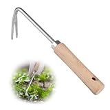 Manueller Unkrautstecher Mit Holzgriff, 25.5cm Länge Unkrautstecher...