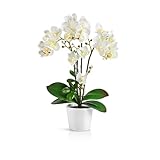 PASCH® Orchideen künstlich in Hochglanz-Keramiktöpfen (46cm) |...