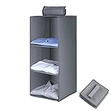 AiQInu Hängeregal Kleiderschrank,Hängeaufbewahrung Schrank Organizer mit...