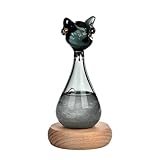 Begchy Sturmwettervorhersage Anderson Cat Barometer Forecaster...