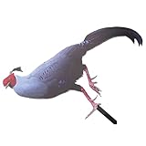 HEMOTON Hühner Gartenstecker Acryl Dekorative Hühnerpfähle für Garten...