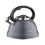 FLORINA Wasserkessel (2,5 l) | Edelstahl Teekessel JACOB | Flötenkessel...