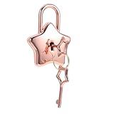 DECOMELODY Metall Padlock mit Schlüssel für Notizbuch und Schmuckbox Diy...