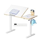 FLEXISPOT Kinderschreibtisch, Elektrisch Höhenverstellbarer Schreibtisch...