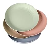 WANBY Leichte Kunststoffplatten Groß Unzerbrechlich Abendessen...