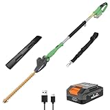 WORKPROX Akku Teleskop-Heckenschere 20V mit 2,0Ah Batteie & Typ-C...