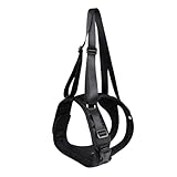 Lerpwige Hundetransportschlingen Für Vordere Hintere Beine Unterstützen...