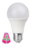 Bioledex GoLeaf LED Pflanzenlampe Vollspektrum E27 A60 9W...