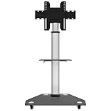 Mobiler TV-Bodenständer aus Edelstahl für 81,3–139,7 cm (32–55 Zoll)...