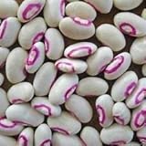 Seeds Pink Eyed Purple Hulled,Cowpea (100 Seeds) A.K.a Southern...