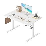 Agilestic Elektrisch Höhenverstellbarer Schreibtisch 120x80 cm, Sitz-Steh...
