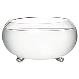 Faroby Lotus-Pflanzgefäß, 30 cm, klare Glas-Blumenschale mit rutschfesten...