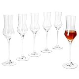 MamboCat 6er Set Specials Spirits Grappa-Gläser I 30ml, Höhe 20,5cm I...