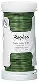 RAYHER HOBBY Rayher 2400113 Blumendraht, grün lackiert, 0,35 mm ø, Spule...