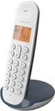 Logicom ILOA 150 Schnurloses Festnetztelefon ohne Anrufbeantworter – Solo...