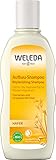 WELEDA Bio Hafer Aufbau-Shampoo, Naturkosmetik Pflegedusche für...