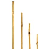 bellissa - Bambusstäbe 180cm 10er Set Rankhilfe Bambusstangen -...
