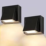 Gouzloyed LED Wandleuchte Innen/Außen,6W Außenleuchte Wandlampe,IP65...