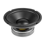 Fenton WPP20 - Einbaulautsprecher HiFi Tieftöner Bass Lautsprecher, 20cm,...