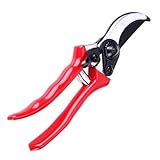 FONDOTIN Pfropfwerkzeug Satz Garten Pfropfschere aus Rostfreiem Stahl...