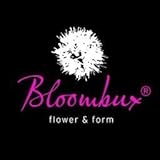 !!WELTNEUHEIT!! Bloombux® – flower & form by INKARHO® 25-30 cm breit im...