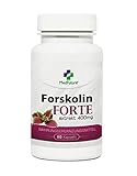 Forskolin Forte Extrakt 400 mg 60 Kapseln Indische Brennnessel Gesunder...