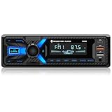 RDS Autoradio Bluetooth mit Typ-C-Ladeanschluss, Wistrue FM/AM Autoradio...