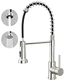 Rainsworth Wasserhahn Küche Edelstahl Herausziehbare - Zwei...