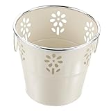 Toddmomy Sukkulenten Blumentopf Aus Zinn Drinnen Vintage Blumentöpfe...