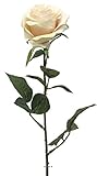 Artificielles.com Künstliche Rose Paris H 64 cm Toller Kopf 9 cm 12...