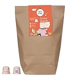 CUP VERDE – 100 Crema Grande Premium Kaffeekapseln kompatibel mit...