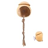 GjnjfdF Springspinnen Terrarium,Natürliches Holz Terrarium Für...