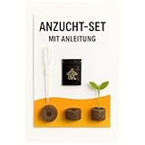 HOMEKING Anzuchtset für Einsteiger & Profis – Komplettset mit Bio...