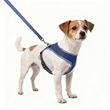 Hundegeschirr Kleine Hunde,Sicherheitsgeschirr Brustgeschirr Welpengeschirr...