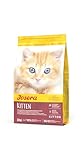 JOSERA Kitten (1 x 2 kg) | Kitten | Premium Trockenfutter für...